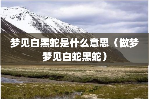 梦见白黑蛇是什么意思（做梦梦见白蛇黑蛇）