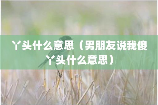 丫头什么意思（男朋友说我傻丫头什么意思）