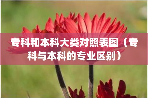 专科和本科大类对照表图（专科与本科的专业区别）