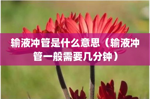 输液冲管是什么意思（输液冲管一般需要几分钟）