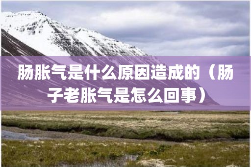 肠胀气是什么原因造成的（肠子老胀气是怎么回事）