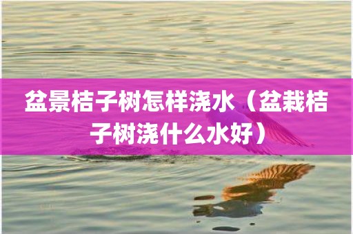 盆景桔子树怎样浇水（盆栽桔子树浇什么水好）