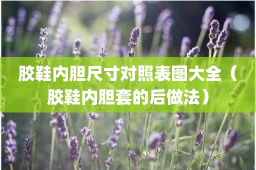 胶鞋内胆尺寸对照表图大全（胶鞋内胆套的后做法）