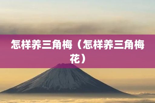 怎样养三角梅（怎样养三角梅花）