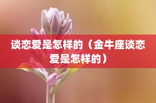 谈恋爱是怎样的（金牛座谈恋爱是怎样的）