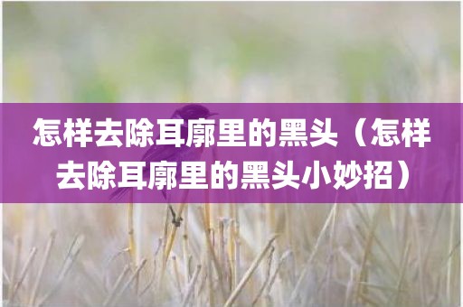 怎样去除耳廓里的黑头（怎样去除耳廓里的黑头小妙招）