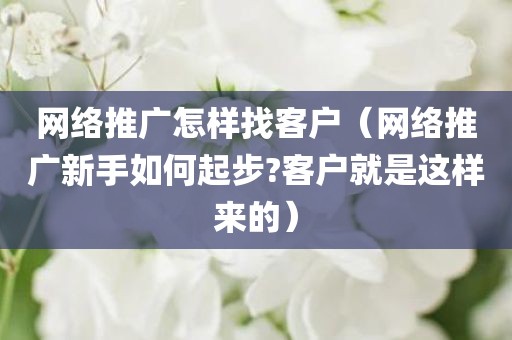 网络推广怎样找客户（网络推广新手如何起步?客户就是这样来的）