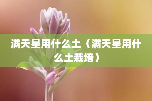 满天星用什么土（满天星用什么土栽培）