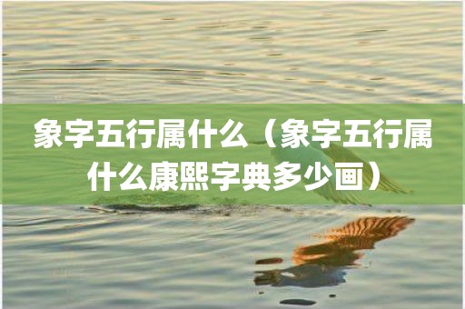 象字五行属什么（象字五行属什么康熙字典多少画）