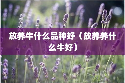 放养牛什么品种好（放养养什么牛好）