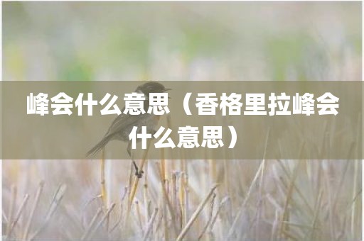 峰会什么意思（香格里拉峰会什么意思）