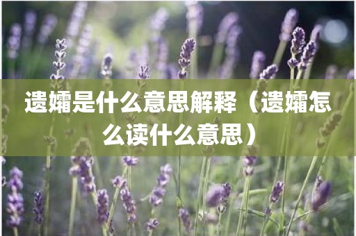 遗孀是什么意思解释（遗孀怎么读什么意思）