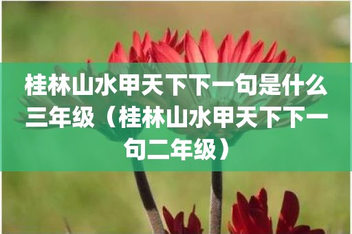 桂林山水甲天下下一句是什么三年级（桂林山水甲天下下一句二年级）