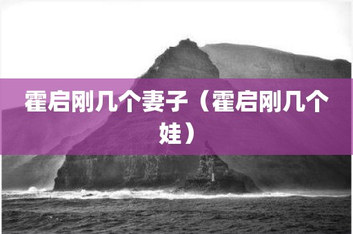 霍启刚几个妻子（霍启刚几个娃）