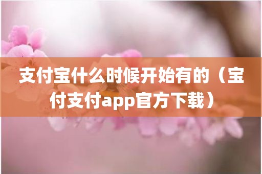 支付宝什么时候开始有的（宝付支付app官方下载）
