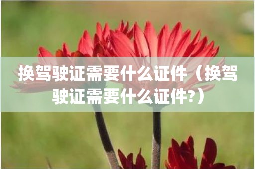 换驾驶证需要什么证件（换驾驶证需要什么证件?）