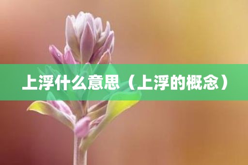 上浮什么意思(上浮的概念) 上浮什么意思(上浮的概念)