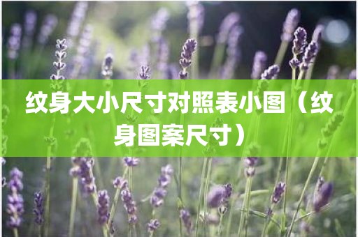 纹身大小尺寸对照表小图（纹身图案尺寸）
