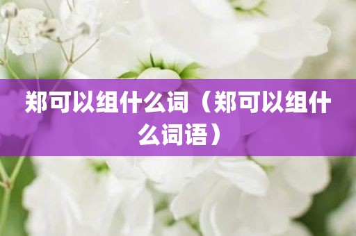 郑可以组什么词（郑可以组什么词语）