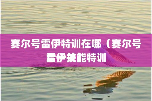 赛尔号雷伊特训在哪（赛尔号雷伊技能特训后一关）