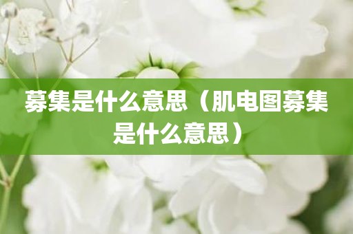 募集是什么意思（肌电图募集是什么意思）