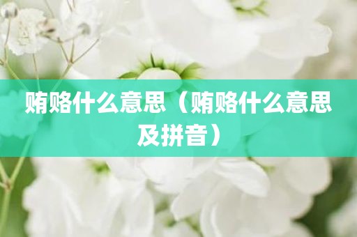 贿赂什么意思（贿赂什么意思及拼音）