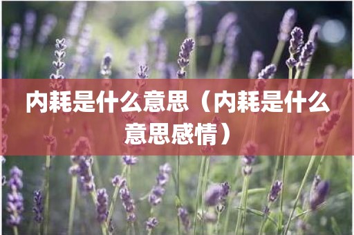 内耗是什么意思（内耗是什么意思感情）