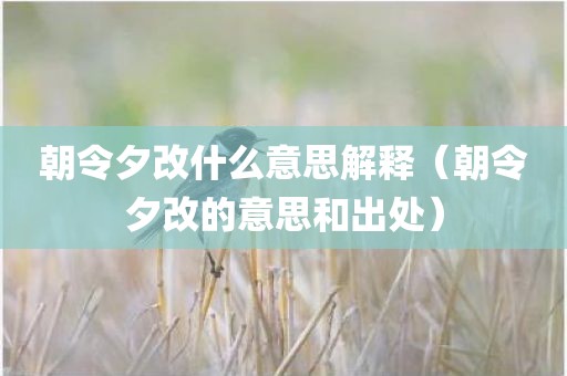 朝令夕改什么意思解释（朝令夕改的意思和出处）