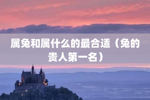 属兔和属什么的最合适（兔的贵人第一名）