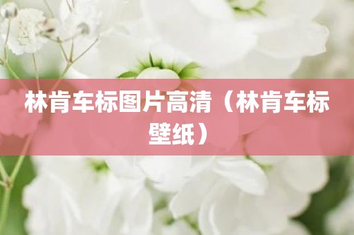 林肯车标图片高清（林肯车标壁纸）