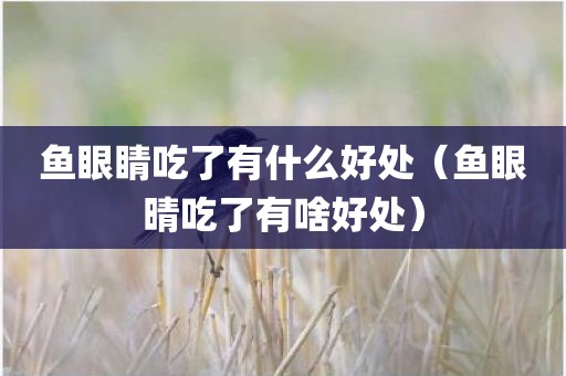 鱼眼睛吃了有什么好处（鱼眼晴吃了有啥好处）