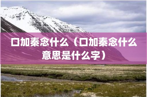 口加秦念什么(口加秦念什么意思是什么字) 口加秦念什么(口加秦念什么意思是什么字)