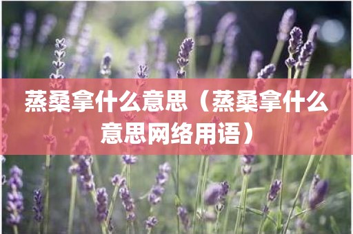 蒸桑拿什么意思（蒸桑拿什么意思网络用语）