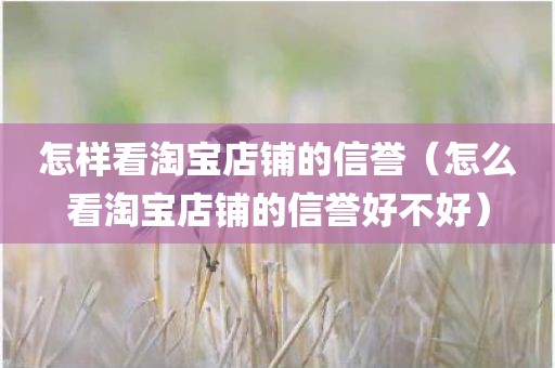 怎样看淘宝店铺的信誉（怎么看淘宝店铺的信誉好不好）