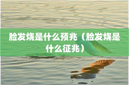 脸发烧是什么预兆(脸发烧是什么征兆)
