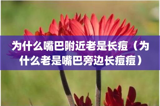 为什么嘴巴附近老是长痘（为什么老是嘴巴旁边长痘痘）