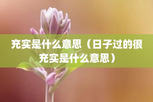 充实是什么意思（日子过的很充实是什么意思）