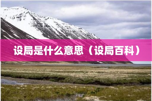设局是什么意思（设局百科）