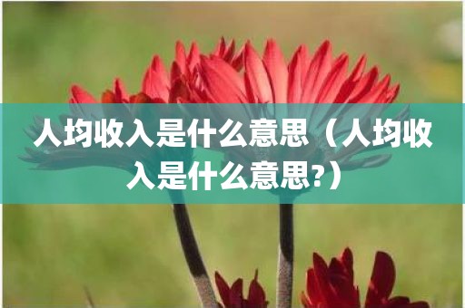 人均收入是什么意思（人均收入是什么意思?）