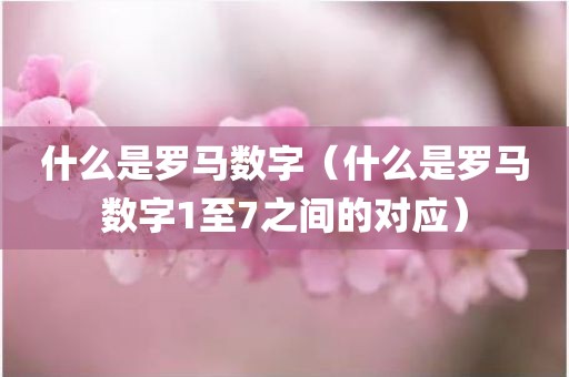 什么是罗马数字（什么是罗马数字1至7之间的对应）