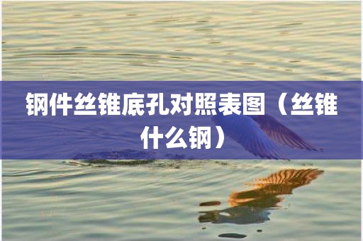 钢件丝锥底孔对照表图（丝锥什么钢）