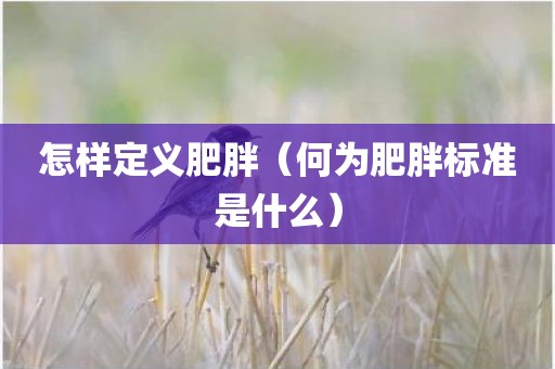 怎样定义肥胖（何为肥胖标准是什么）