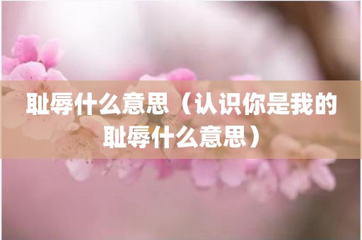 耻辱什么意思（认识你是我的耻辱什么意思）