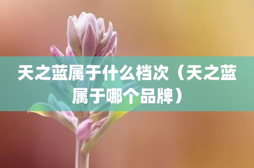 天之蓝属于什么档次（天之蓝属于哪个品牌）