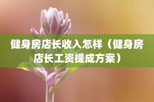 健身房店长收入怎样(健身房店长工资提成方案)