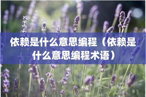 依赖是什么意思编程(依赖是什么意思编程术语)
