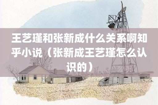 王艺瑾和张新成什么关系啊知乎小说（张新成王艺瑾怎么认识的）