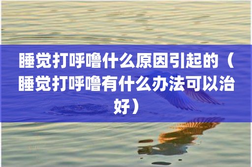 睡觉打呼噜什么原因引起的（睡觉打呼噜有什么办法可以治好）