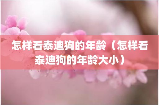 怎样看泰迪狗的年龄（怎样看泰迪狗的年龄大小）