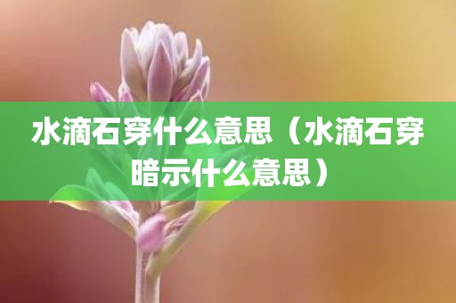 水滴石穿什么意思（水滴石穿暗示什么意思）